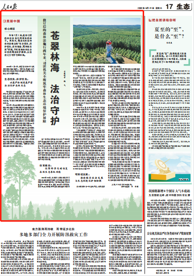 【人民日报】筑牢司法保护屏障，以法治之力守护苍翠林海